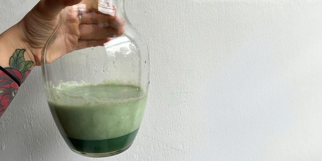 How to Make Lake Pigment (with photos!)