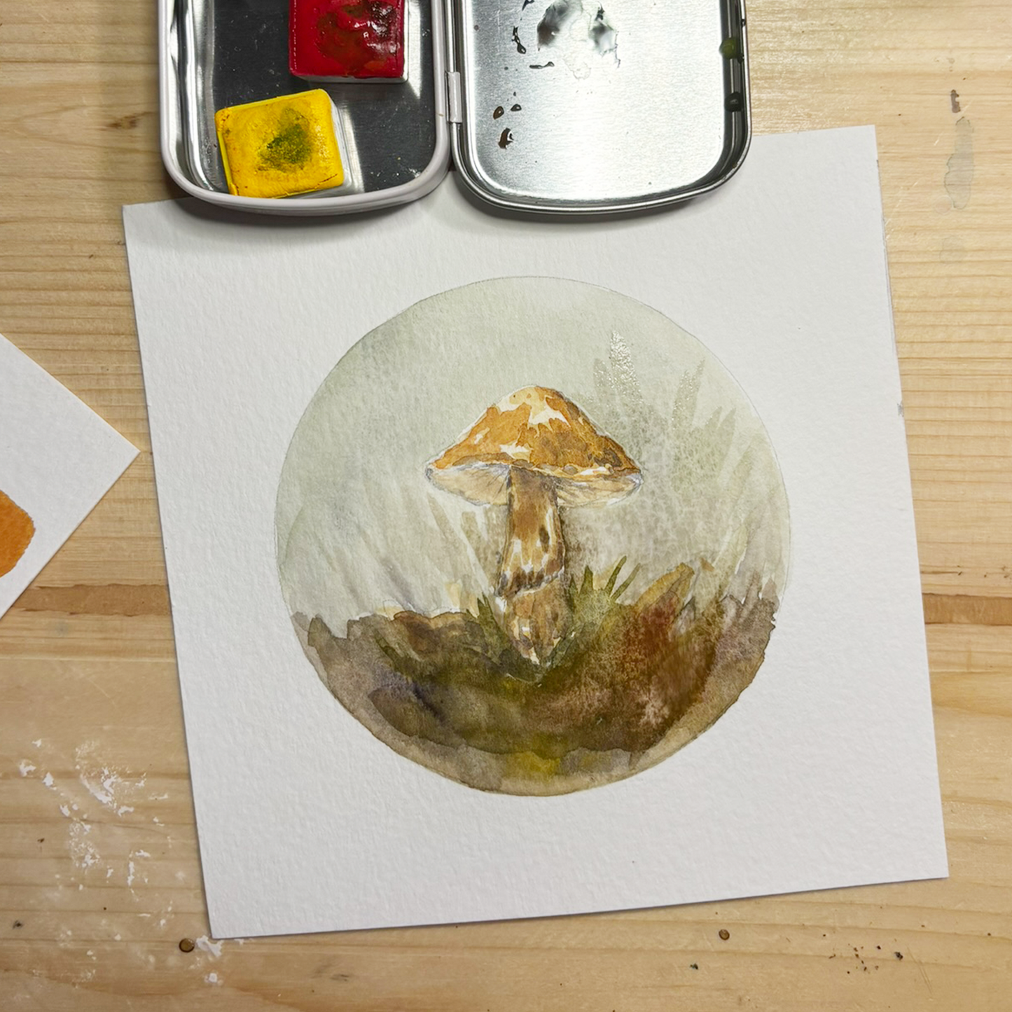 Watercolor Mushrooms Kit PREORDER