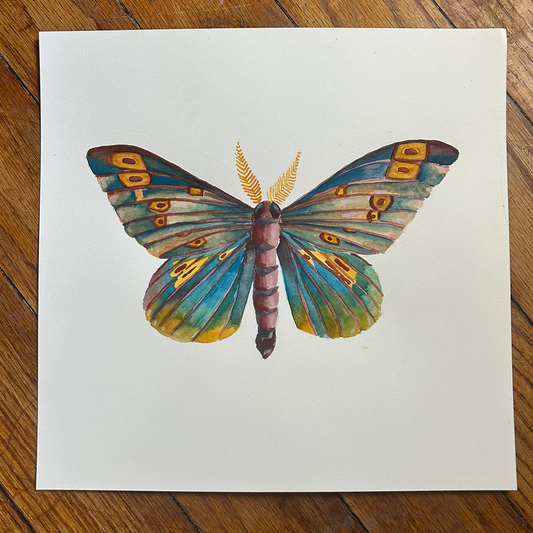 Original Watercolor Moth Painting 10" x 10"